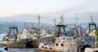 Failure to report on fishery undermines Canada's claim to Arctic