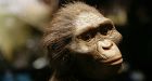 Human ancestors walked 3 million years ago