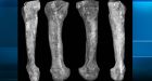 Kin of famous Lucy had feet like modern people