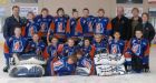 Cat, hockey team are new B.C. Liberal members?