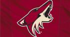 NHL denies Coyotes will move to Winnipeg after playoffs