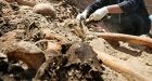 800 bodies unearthed in Iraq mass grave
