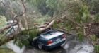 New Zealand's largest city hit by tornado