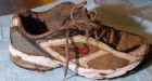 Feet washed ashore in B.C. identified