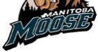 Moose moving east to The Rock