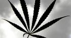 Alleged international pot smuggling ring could net Quebec men life in a U.S. prison