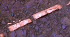 NASA Rover Spots Unambiguous Evidence for Water on Ancient Mars | Wired Science | Wired.com