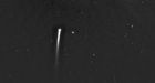 Comet survives close encounter with sun