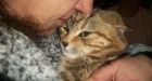 Cat frozen to driveway gets warm rescue