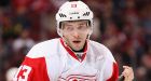 Datsyuk a star in NHLPA player poll