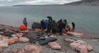 Taloyoak, Nunavut, hunters set out on bowhead whale hunt