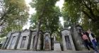 The great chestnut trees of Europe are dying