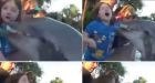 SeaWorld dolphin bites 8-year-old Jillian Thomas at feeding time