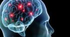 IQ scores not accurate marker of intelligence, study shows