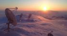 �Muzzling' of Canadian government scientists sent before Information Commissioner
