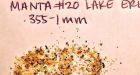 Plastic microbeads from facial exfoliants make their way into Great Lakes