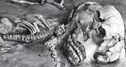 DNA profile of ancient skeleton rewrites history