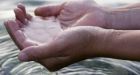Artificial Sweeteners In Ontario's Grand River 'Highest' In The World, Study Says