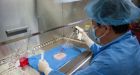Vaginas, nostrils latest successes in lab-grown body parts
