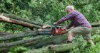 Angus, Ont., tornado: 'Miracle' no one was hurt, mayor says