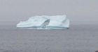 Massive icebergs hug coastline of Newfoundland making for amazing images