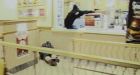 �Cops� TV crew member killed by police officer�s stray bullet during gun fight