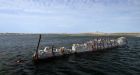 Arctic shipwreck will not leave Cambridge Bay this year