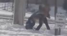 Violent confrontation between 2 teen girls, police officer caught on video