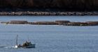Aquaculture rule changes raise pesticide concerns