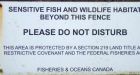 Analysis suggests protection of fish habitat waning under Harper government