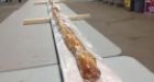 P.E.I. fishermen build 23 metre long lobster roll