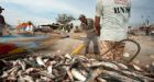 Nestl�​ admits slavery and coercion used in catching its seafood