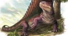 Canada's 1st dimetrodon solves P.E.I. fossil mystery