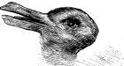 Duck or rabbit optical illusion takes social media by storm |