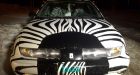 Zebra-painted car turns heads on Saskatoon's roads