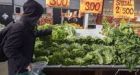 Plants top animals when it comes to eating protein: study