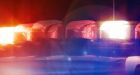 7 of the strangest problems B.C. police officers were punished for last year