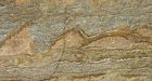 Scientists find 3.7 billion-year-old fossils, oldest known