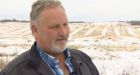 Snow across Alberta brings fall harvest to abrupt standstill