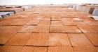 �No choice� but to launch trade challenge against Canada, U.S. lumber lobby says