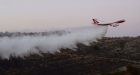 IDF arrests 5 more Palestinians suspected of arson attempts